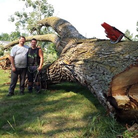 Notre équipe au travail