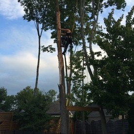 Notre équipe au travail