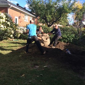 Notre équipe au travail