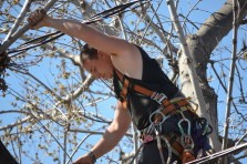 BIEN TAILLÉS ET EN SANTÉ